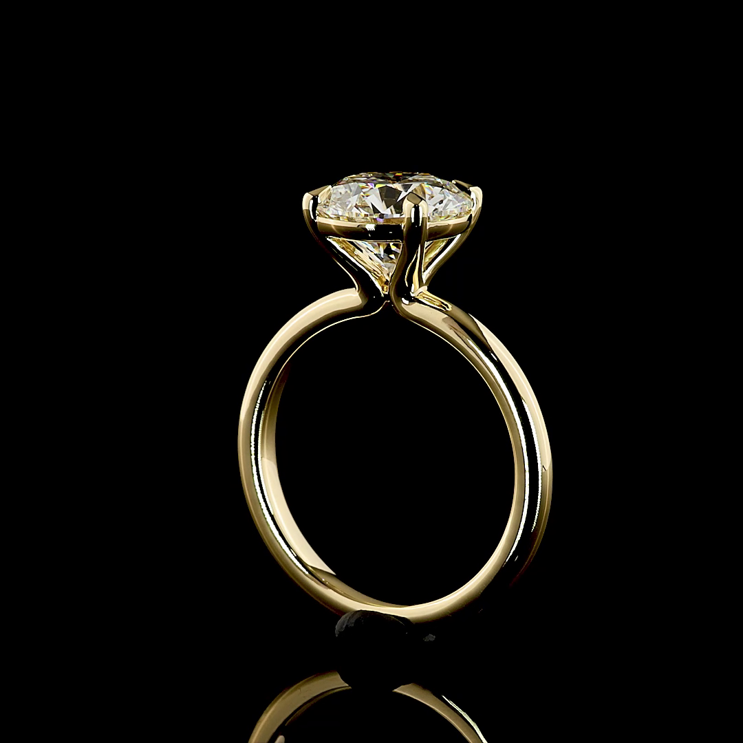 3.01 CT Round Lab Grown Diamond Solitaire Ring Sz. 6.5 (E Color and VVS2 Clarity)