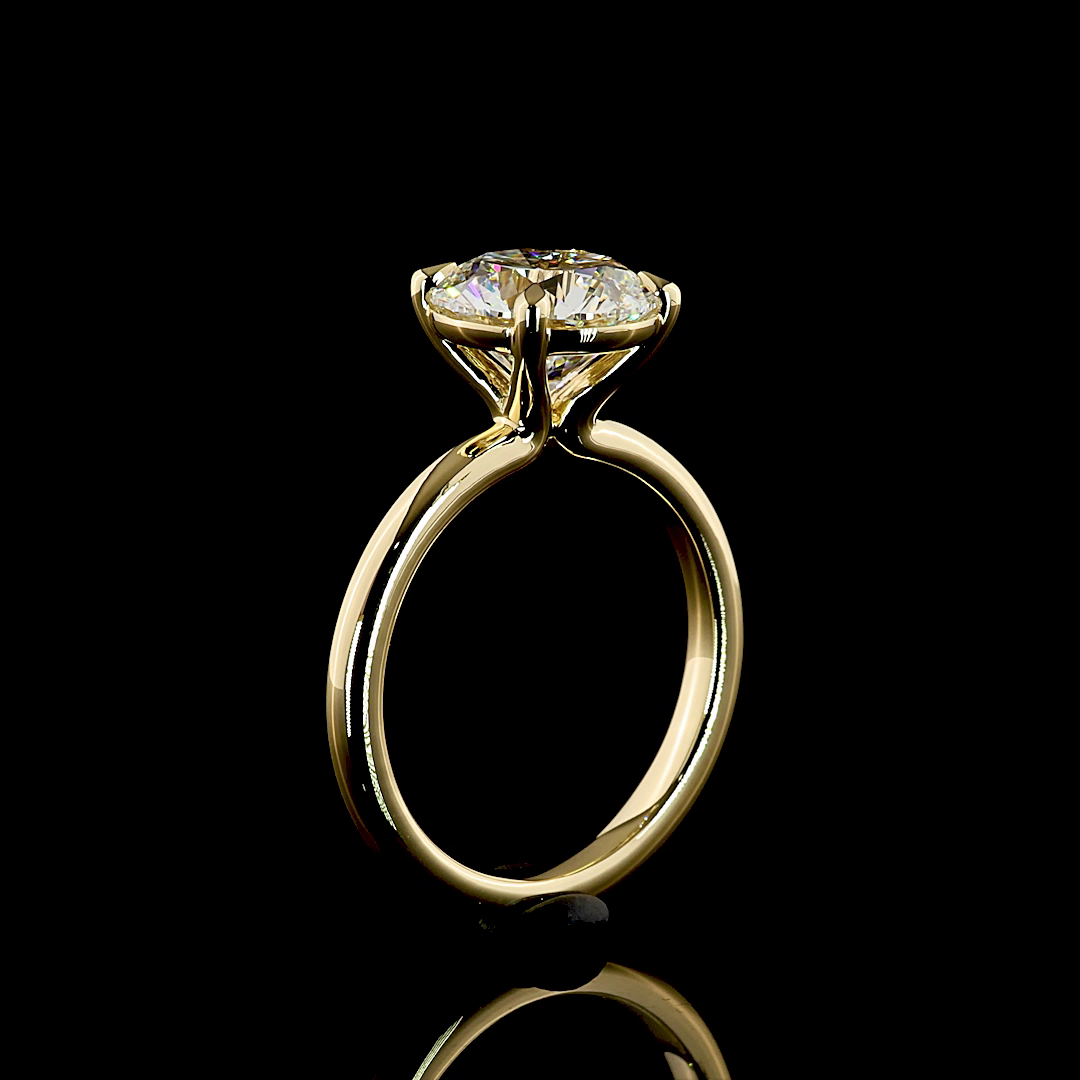 3.01 CT Round Lab Grown Diamond Solitaire Ring Sz. 6.5 (E Color and VVS2 Clarity)